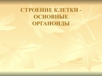 Строение клетки. Основные органоиды (9 класс)