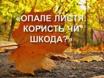 Опале листя: користь чи шкода