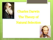 Charles Darwin. The Theory of Natural Selection