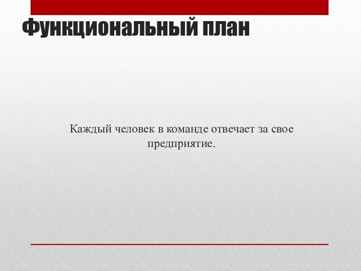 Каждый человек в команде отвечает за свое предприятие.Функциональный план