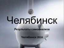 Челябинск. Результаты самоанализа 2016