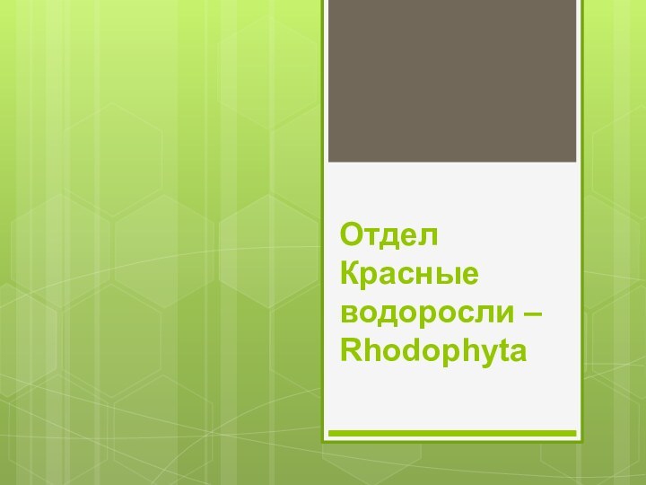 Отдел Красные водоросли – Rhodophyta