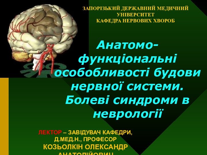 ЗАПОРІЗЬКИЙ ДЕРЖАВНИЙ МЕДИЧНИЙ УНІВЕРСИТЕТ КАФЕДРА НЕРВОВИХ ХВОРОБЛЕКТОР – ЗАВІДУВАЧ КАФЕДРИ, Д.МЕД.Н., ПРОФЕСОР