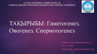 Гаметогенез. Овогенез. Спермотогенез