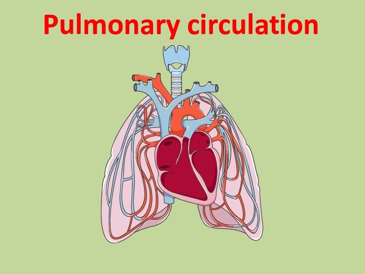 Pulmonary circulation