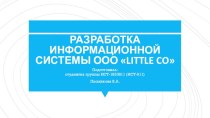 Разработка информационной системы ООО LITTLE CO