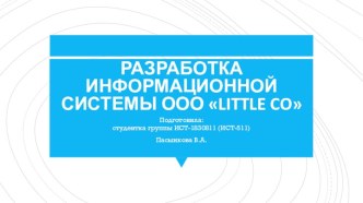 Разработка информационной системы ООО LITTLE CO