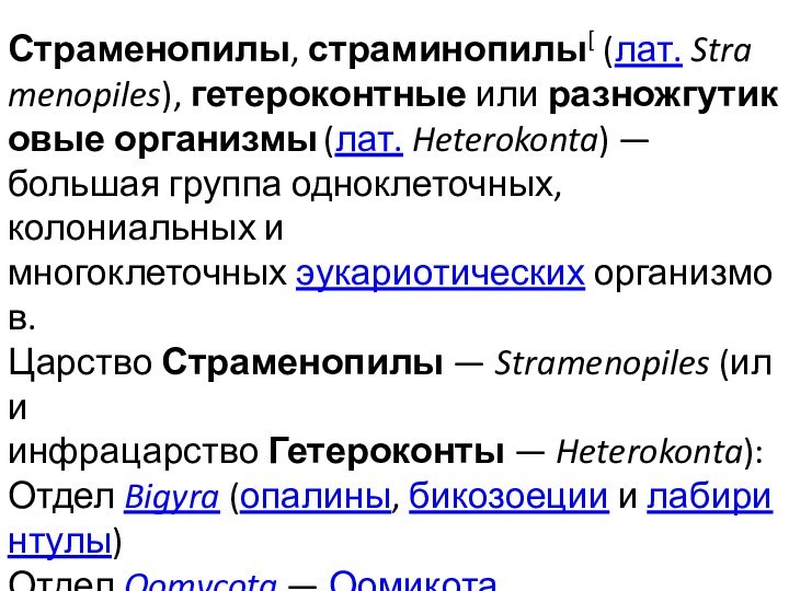 Страменопилы, страминопилы[ (лат. Stramenopiles), гетероконтные или разножгутиковые организмы (лат. Heterokonta) — большая группа одноклеточных, колониальных и многоклеточных эукариотических организмов.Царство Страменопилы — Stramenopiles (или инфрацарство Гетероконты — Heterokonta):Отдел Bigyra (опалины, бикозоеции и лабиринтулы)Отдел Oomycota — ОомикотаОтдел Ochrophyta — Охрофиты