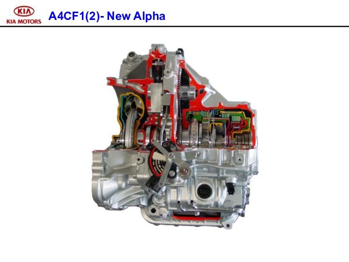 A4CF1(2)- New Alpha