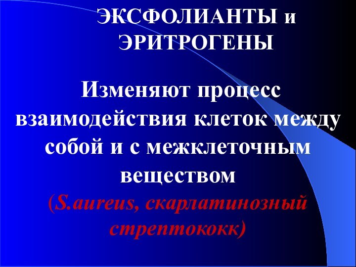 ЭКСФОЛИАНТЫ и ЭРИТРОГЕНЫ Изменяют процесс взаимодействия клеток между собой и с межклеточным веществом(S.aureus, скарлатинозный стрептококк)