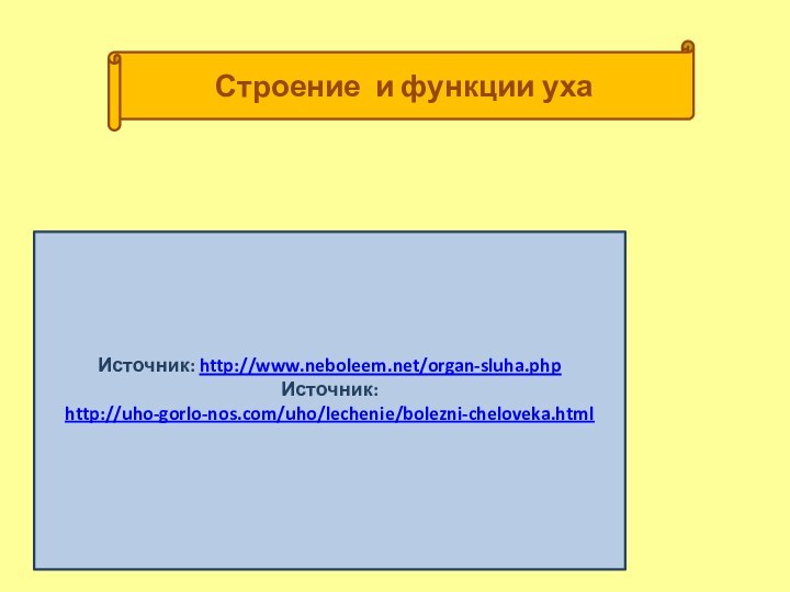 Строение и функции ухаИсточник: http://www.neboleem.net/organ-sluha.phpИсточник: http://uho-gorlo-nos.com/uho/lechenie/bolezni-cheloveka.html