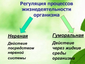 Регуляция процессов жизнедеятельности организма