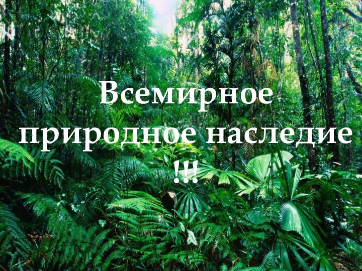 Всемирное природное наследие !!!