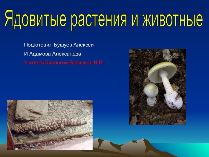 Ядовитые растения и животные Подготовил Бушуев АлексейИ Адамова АлександраУчитель биологии Беляцкая Н.В.