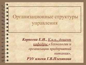 Организационная структура управления предприятием