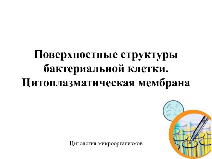 Поверхностные структуры бактериальной клетки. Цитоплазматическая мембрана  Цитология микроорганизмов