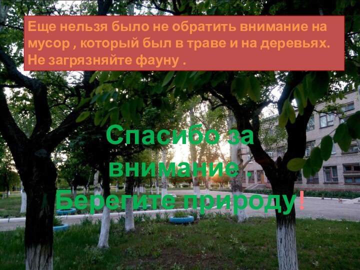 Еще нельзя было не обратить внимание на мусор , который был в