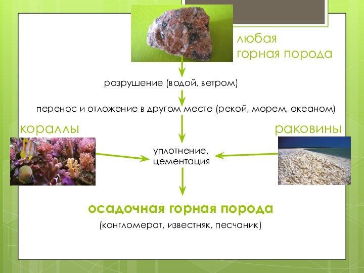 любая  горная породаразрушение (водой, ветром) перенос и отложение в другом месте