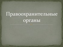 Правоохранительные органы