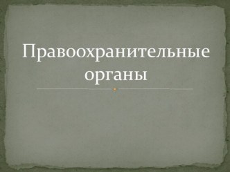 Правоохранительные органы