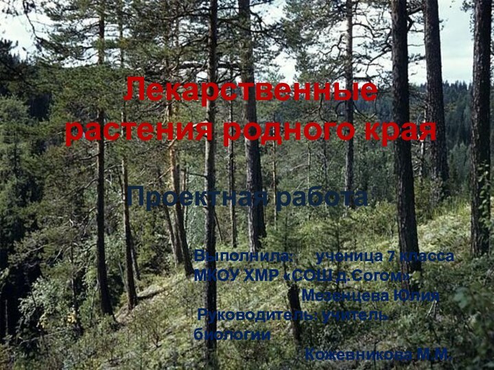 Лекарственные растения родного краяПроектная работаВыполнила:   ученица 7 класса МКОУ ХМР
