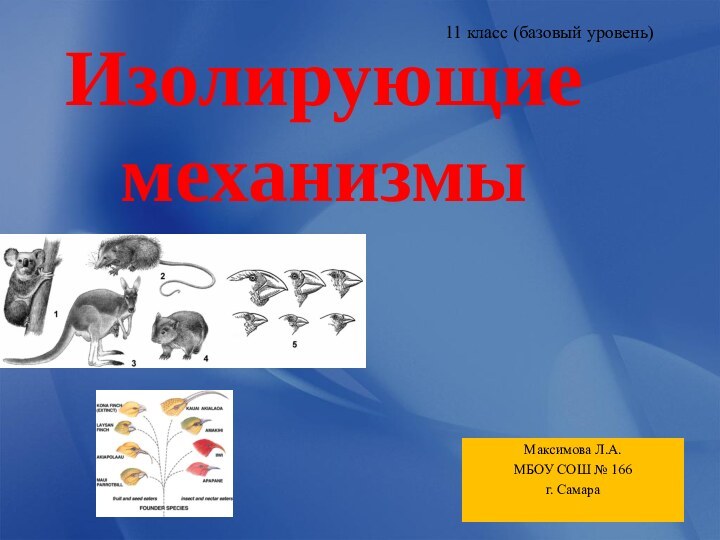 Изолирующие механизмы Максимова Л.А. МБОУ СОШ № 166г. Самара 11 класс (базовый уровень)