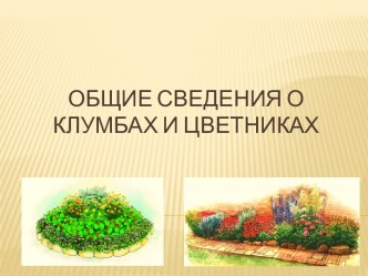 Общие сведения о клумбах и цветниках