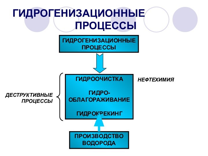 ГИДРОГЕНИЗАЦИОННЫЕ 						ПРОЦЕССЫГИДРОГЕНИЗАЦИОННЫЕПРОЦЕССЫГИДРООЧИСТКАГИДРО- ОБЛАГОРАЖИВАНИЕГИДРОКРЕКИНГДЕСТРУКТИВНЫЕ ПРОЦЕССЫНЕФТЕХИМИЯПРОИЗВОДСТВО ВОДОРОДА