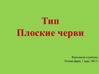 Тип плоские черви