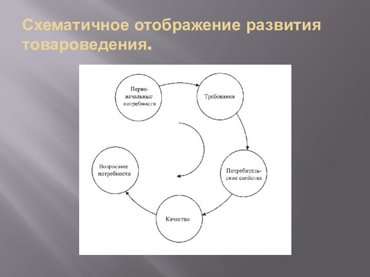 Схематичное отображение развития товароведения.