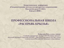 Совершенствование системы постинтернатного сопровождения. Повышение роли СО НКО. Профессиональная школа Расправь крылья