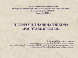 Совершенствование системы постинтернатного сопровождения. Повышение роли СО НКО. Профессиональная школа Расправь крылья