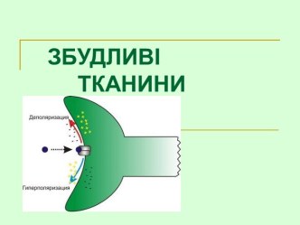 Збудливі тканини. Нервова, м’язова, залозиста