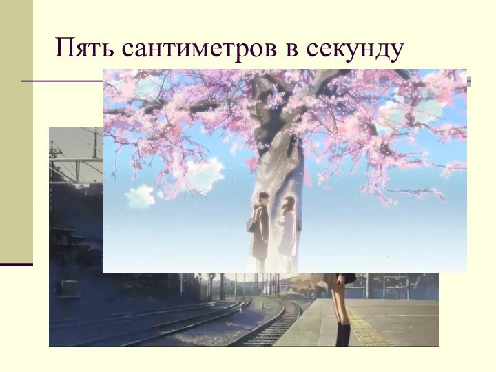 Пять сантиметров в секунду