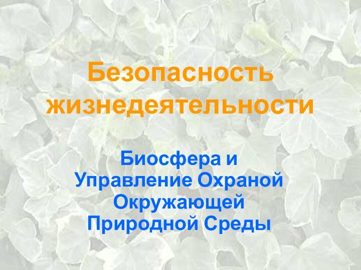 Безопасность жизнедеятельностиБиосфера и  Управление Охраной Окружающей Природной Среды