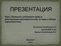 Принципы уголовного права в действующем законодательстве, их виды и общая характеристика