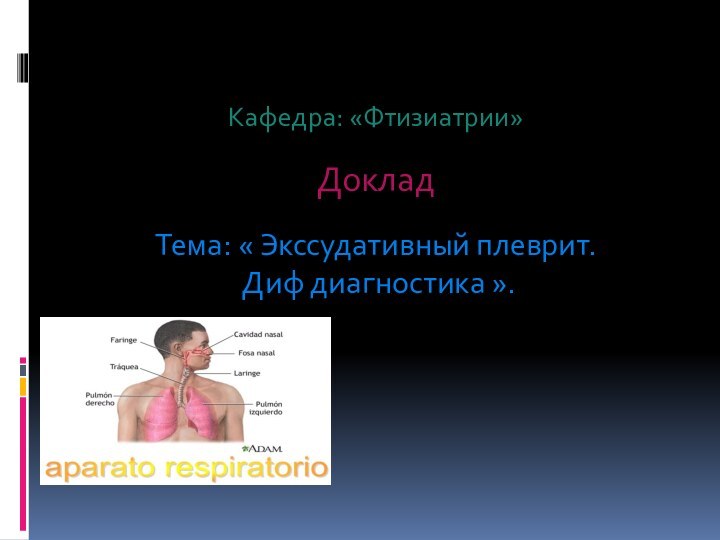 Кафедра: «Фтизиатрии»ДокладТема: « Экссудативный плеврит. Диф диагностика ».