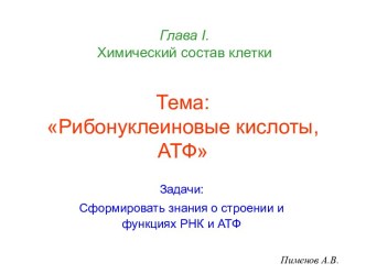 Рибонуклеиновые кислоты, АТФ