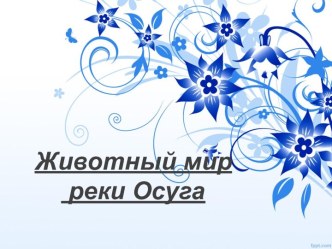 Животный мир реки Осуга