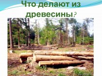 Что делают из древесины