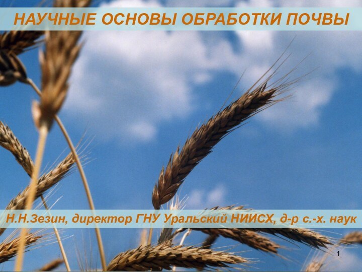 Н.Н.Зезин, директор ГНУ Уральский НИИСХ, д-р с.-х. наукНАУЧНЫЕ ОСНОВЫ ОБРАБОТКИ ПОЧВЫ