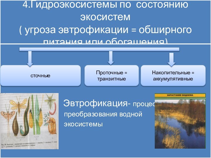 4.Гидроэкосистемы по состоянию экосистем ( угроза эвтрофикации = обширного питания или обогащения)