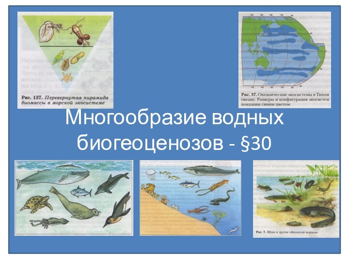 Многообразие водных биогеоценозов - §30