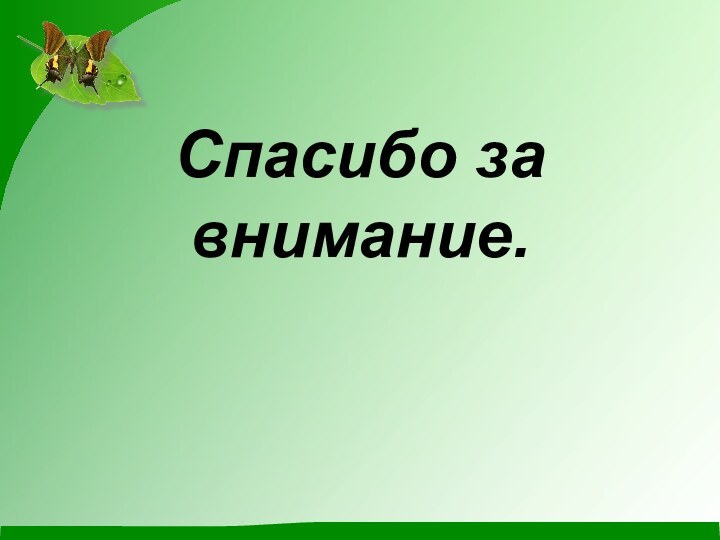 Спасибо за внимание.