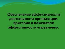 Обеспечение эффективности деятельности организации. Критерии и показатели эффективности управления