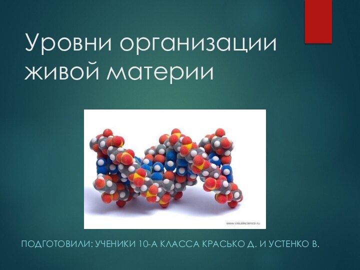 Уровни организации живой материи ПОДГОТОВИЛИ: УЧЕНИКИ 10-А КЛАССА КРАСЬКО Д. И УСТЕНКО В.