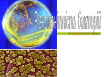 Паразитичні бактерії (паразити)