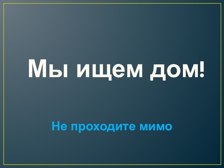 Мы ищем дом! Не проходите мимо