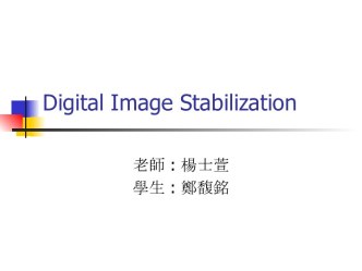 Digital Image Stabilization