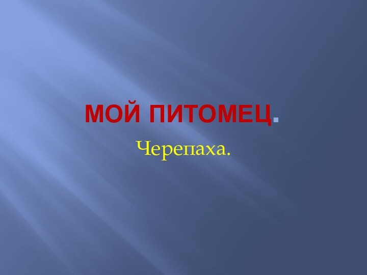 МОЙ ПИТОМЕЦ.Черепаха.